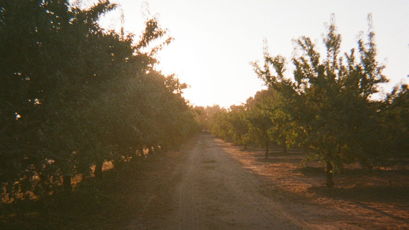 Almond Microclimate