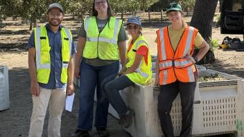 Pistachio Harvest Team