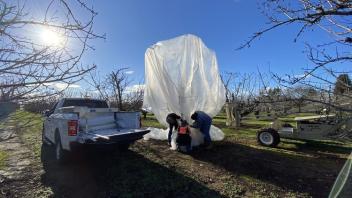 tree covered in plastic with truck