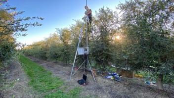 someone on a little tower