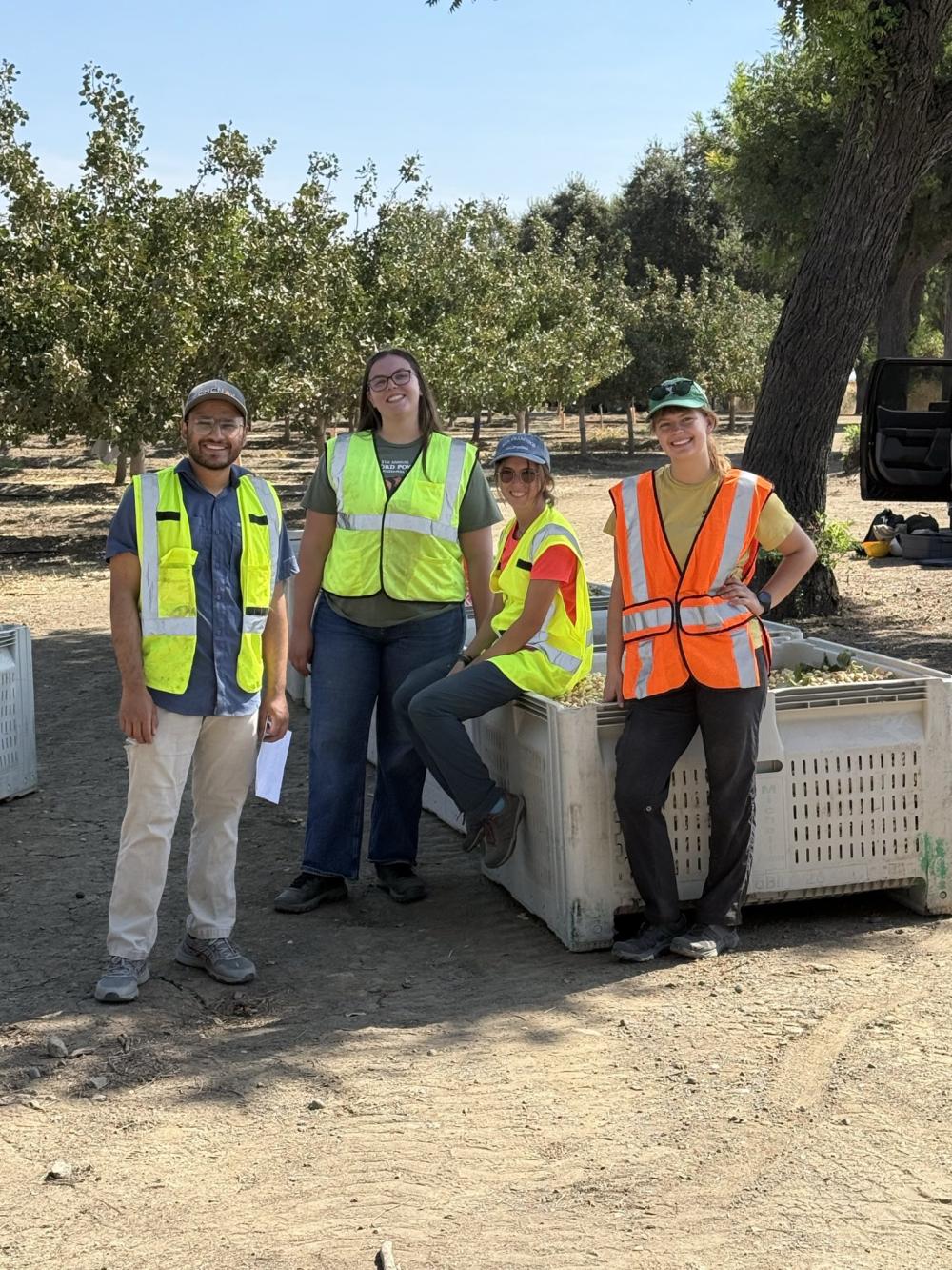 Pistachio Harvest Team