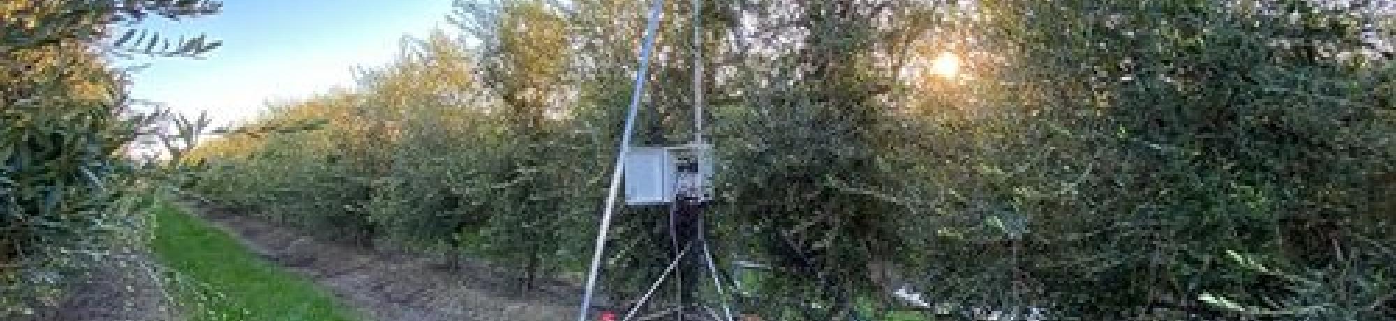 someone on a little tower